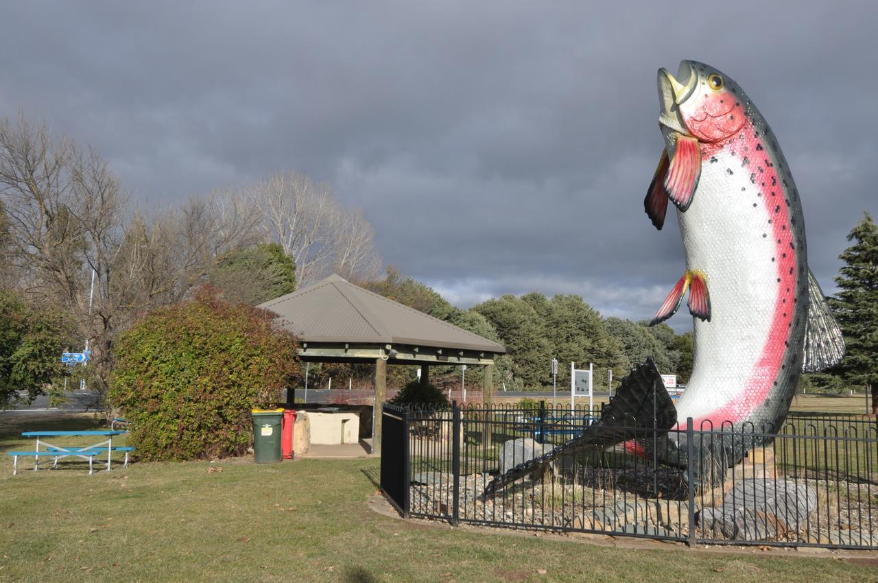 Selwyn Star Lodge Adaminaby Bagian luar foto